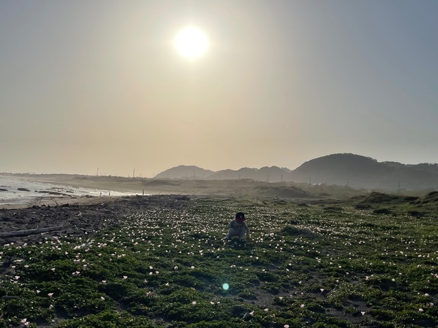 IMG_8795.jpeg